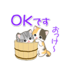 ころころ子猫がかくれんぼ（個別スタンプ：14）
