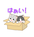 ころころ子猫がかくれんぼ（個別スタンプ：15）