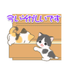 ころころ子猫がかくれんぼ（個別スタンプ：17）