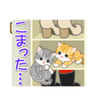 ころころ子猫がかくれんぼ（個別スタンプ：20）