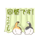 ころころ子猫がかくれんぼ（個別スタンプ：24）