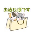 ころころ子猫がかくれんぼ（個別スタンプ：25）