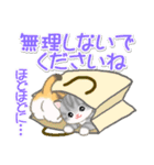 ころころ子猫がかくれんぼ（個別スタンプ：27）