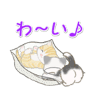 ころころ子猫がかくれんぼ（個別スタンプ：28）