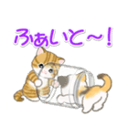 ころころ子猫がかくれんぼ（個別スタンプ：29）