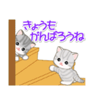 ころころ子猫がかくれんぼ（個別スタンプ：30）