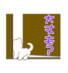 ころころ子猫がかくれんぼ（個別スタンプ：35）
