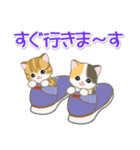ころころ子猫がかくれんぼ（個別スタンプ：39）