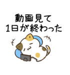 毎日五月病なねこたち7（個別スタンプ：8）