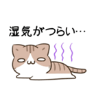 毎日五月病なねこたち7（個別スタンプ：37）