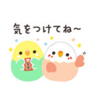 ことりづくし【家族連絡】（個別スタンプ：4）