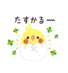 ことりづくし【家族連絡】（個別スタンプ：24）
