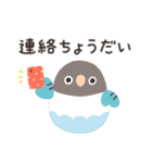 ことりづくし【家族連絡】（個別スタンプ：29）