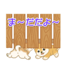 よちよち豆柴 かくれんぼ（個別スタンプ：2）