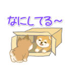 よちよち豆柴 かくれんぼ（個別スタンプ：4）
