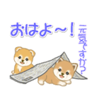 よちよち豆柴 かくれんぼ（個別スタンプ：5）