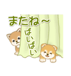 よちよち豆柴 かくれんぼ（個別スタンプ：12）
