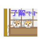 よちよち豆柴 かくれんぼ（個別スタンプ：13）
