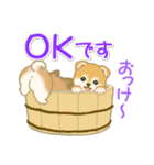 よちよち豆柴 かくれんぼ（個別スタンプ：14）