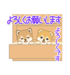 よちよち豆柴 かくれんぼ（個別スタンプ：18）
