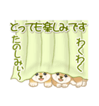 よちよち豆柴 かくれんぼ（個別スタンプ：21）