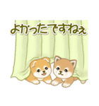 よちよち豆柴 かくれんぼ（個別スタンプ：22）