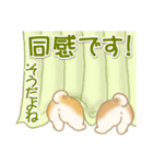 よちよち豆柴 かくれんぼ（個別スタンプ：24）