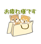 よちよち豆柴 かくれんぼ（個別スタンプ：25）