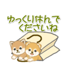よちよち豆柴 かくれんぼ（個別スタンプ：26）