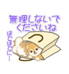 よちよち豆柴 かくれんぼ（個別スタンプ：27）