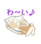 よちよち豆柴 かくれんぼ（個別スタンプ：28）