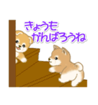 よちよち豆柴 かくれんぼ（個別スタンプ：30）