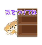 よちよち豆柴 かくれんぼ（個別スタンプ：32）