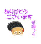 よちよち豆柴 かくれんぼ（個別スタンプ：33）