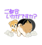 よちよち豆柴 かくれんぼ（個別スタンプ：34）