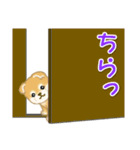 よちよち豆柴 かくれんぼ（個別スタンプ：36）