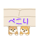 よちよち豆柴 かくれんぼ（個別スタンプ：38）