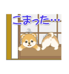よちよち豆柴 かくれんぼ（個別スタンプ：39）
