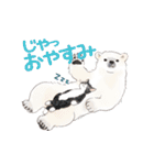 ゆかいな猫とどうぶつたちのスタンプ（個別スタンプ：6）