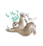 ゆかいな猫とどうぶつたちのスタンプ（個別スタンプ：7）