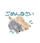 ゆかいな猫とどうぶつたちのスタンプ（個別スタンプ：8）