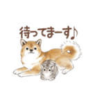 ゆかいな猫とどうぶつたちのスタンプ（個別スタンプ：10）