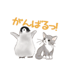 ゆかいな猫とどうぶつたちのスタンプ（個別スタンプ：12）