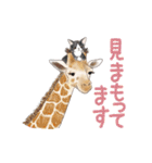 ゆかいな猫とどうぶつたちのスタンプ（個別スタンプ：18）