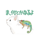 ゆかいな猫とどうぶつたちのスタンプ（個別スタンプ：20）