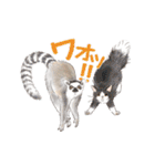 ゆかいな猫とどうぶつたちのスタンプ（個別スタンプ：23）