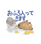 ゆかいな猫とどうぶつたちのスタンプ（個別スタンプ：25）