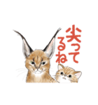 ゆかいな猫とどうぶつたちのスタンプ（個別スタンプ：29）