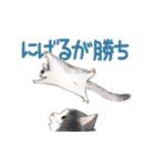 ゆかいな猫とどうぶつたちのスタンプ（個別スタンプ：34）