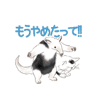 ゆかいな猫とどうぶつたちのスタンプ（個別スタンプ：36）